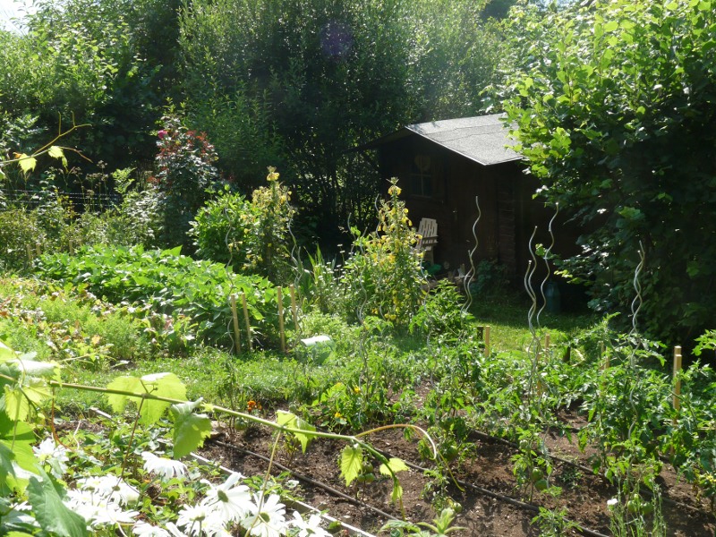 “Créer un Lotissement de Jardin” Formation