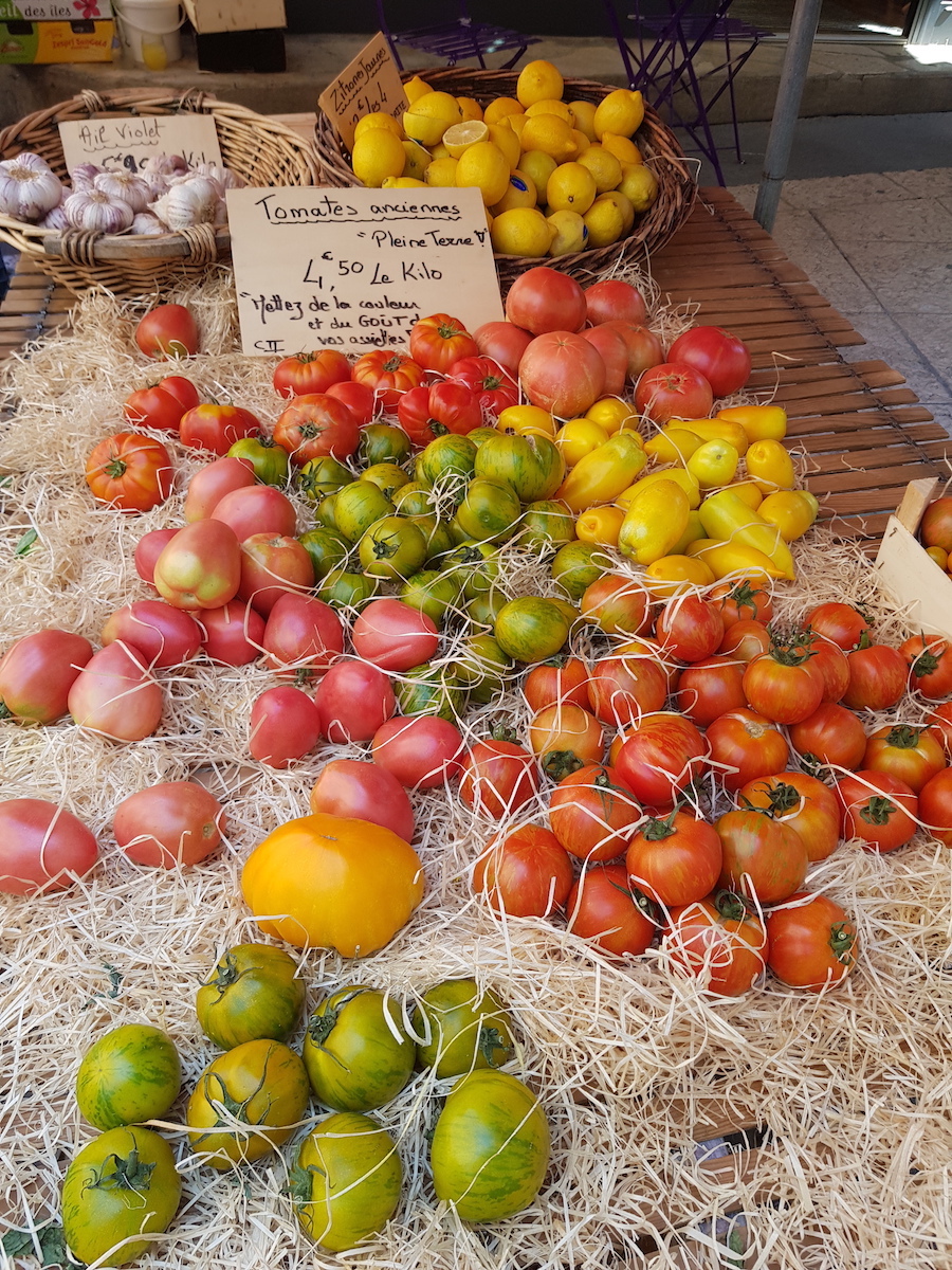 Les Jardins Potagers poussent dans le Vaucluse