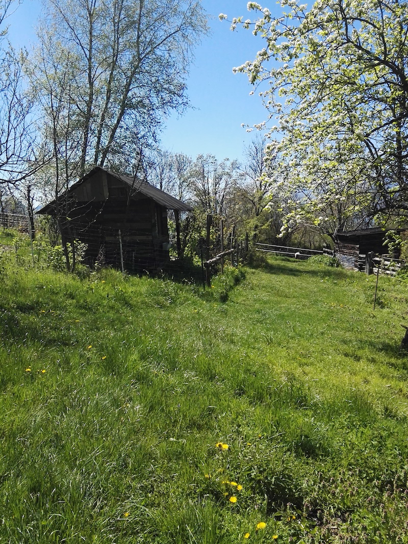 2026 Reprise des formations “création de lotissement de jardin”