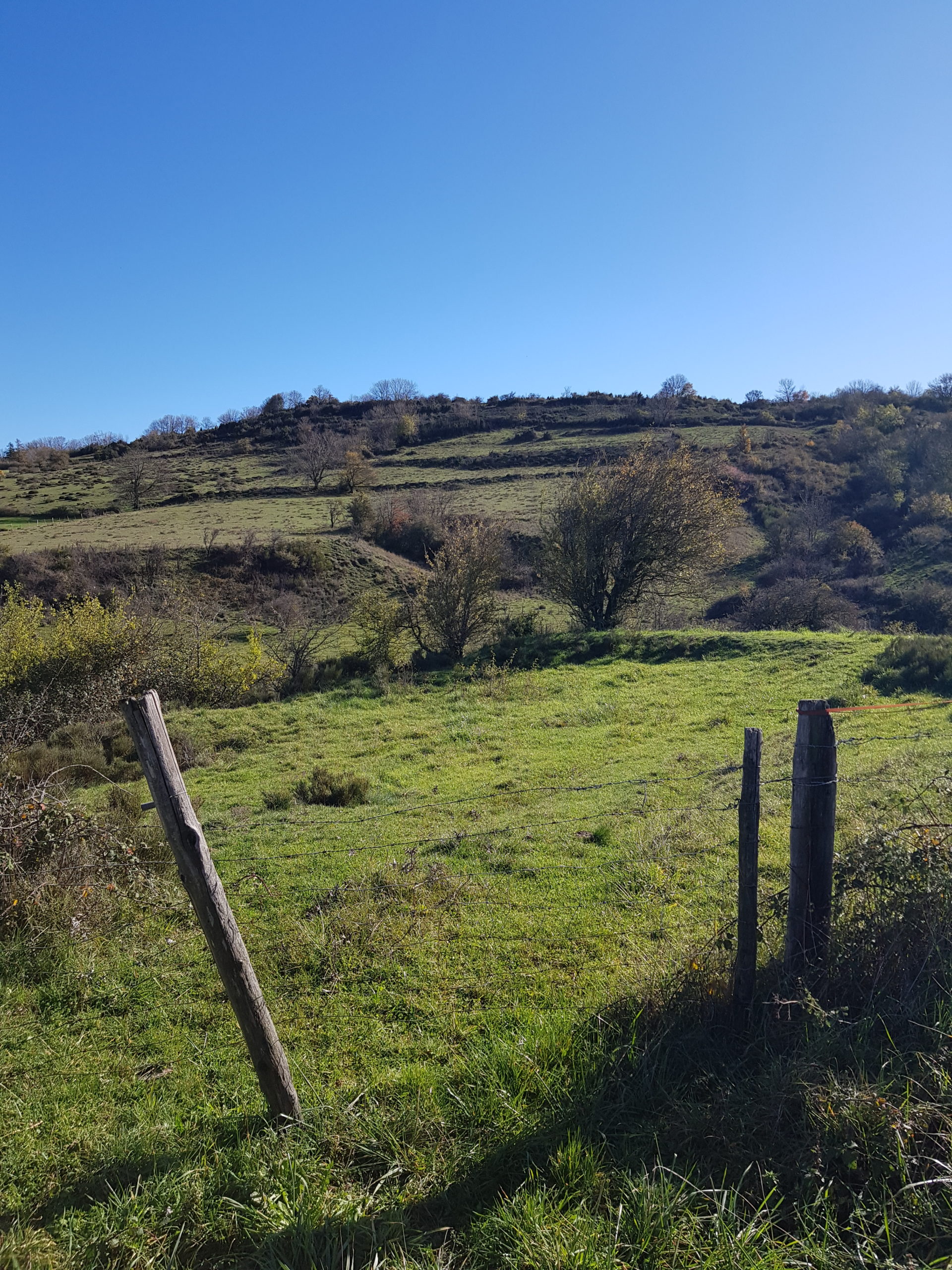 Terrain à Bâtir Plateau du Coiron