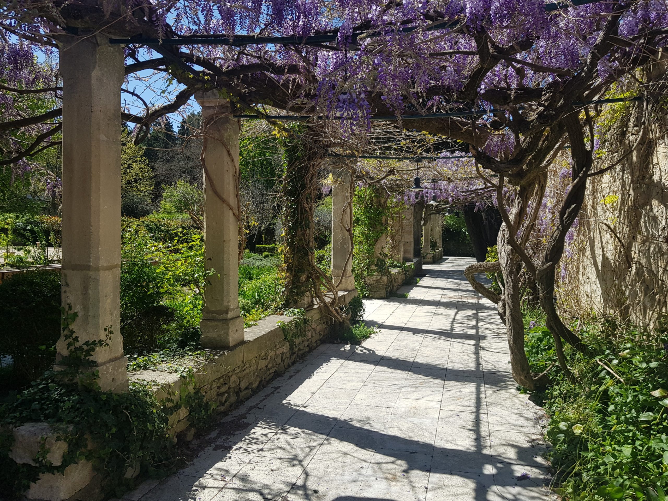 Hôtel Restaurant Provence
